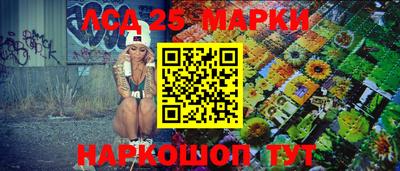 кокс Кингисепп