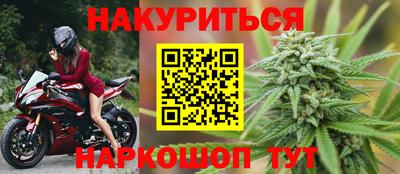 кокс Кингисепп