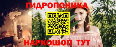 индика Кимры