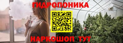 кокс Кингисепп
