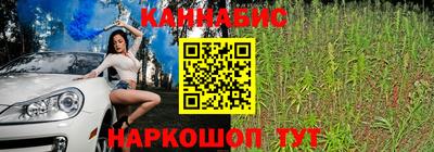 индика Кимры