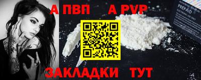 кокс Кингисепп