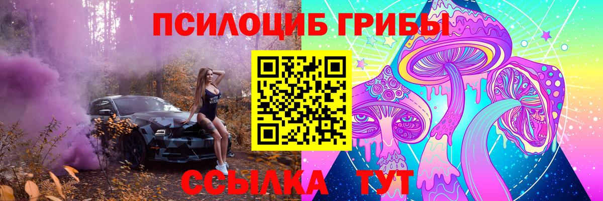 Галлюциногенные грибы Cubensis Тара