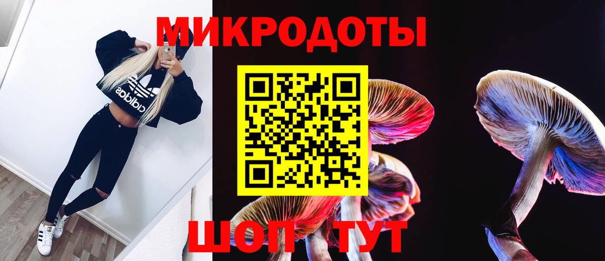 Тара  Псилоцибиновые грибы прущие грибы  Галлюциногенные грибы MAGIC MUSHROOMS  Вход с VPN 